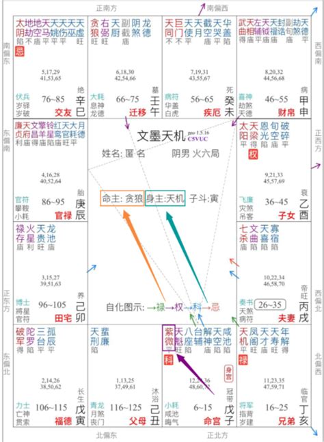 命主屬性|紫微斗数中命主星的意义和用法